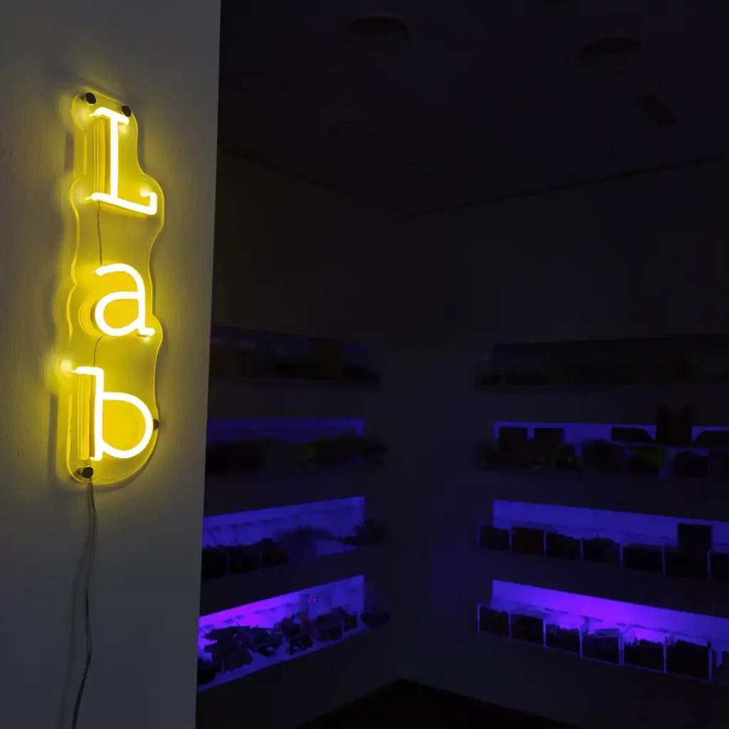 Lab neon Lab neon