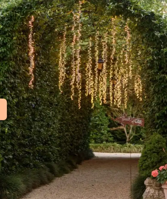 iluminacion bodas murcia